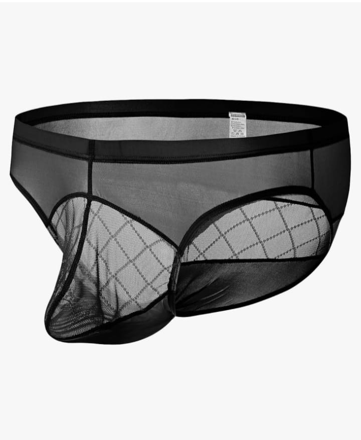 Men’s Underwear Mesh Pouch Briefs See Through Low Rise Ultra Thin Breathable